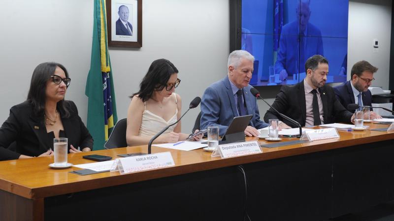 Parlamentares analisaram endurecimento de penas e combate ao mercado ilegal de bebidas.