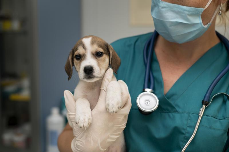 A comprovação da ausência exigirá atestado médico de comparecimento.