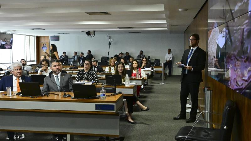 Por lei, a criação de datas comemorativas é condicionada à realização de audiência pública sobre o tema.