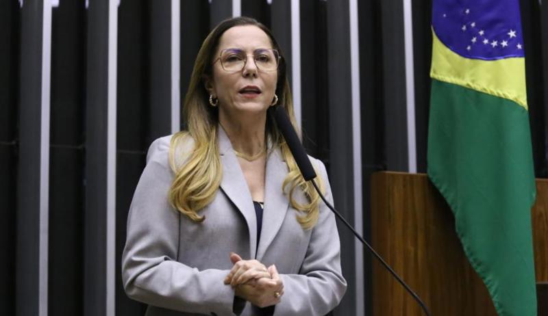 Texto aprovado foi relatado pela deputada Delegada Katarina.
