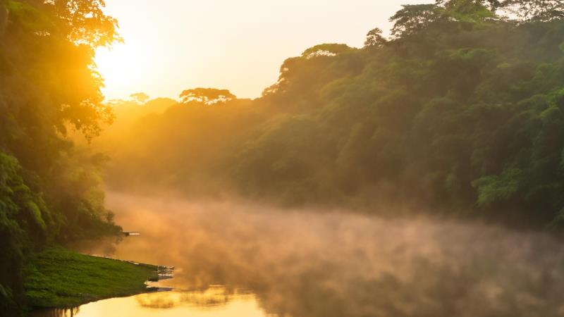 Brasil deve usar a conferência em Belém para consolidar instrumentos de proteção florestal e justiça climática.