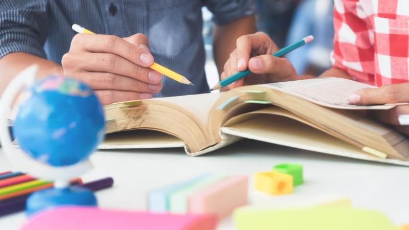 Projeto propõe incluir neurociência e física quântica nas licenciaturas.
