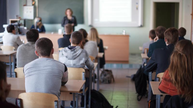 O profissionais também deverão oferecer orientação vocacional aos estudantes.