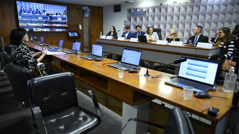 Projeto semelhante foi aprovado pela CCJ neste mês, com parecer de Flávio Bolsonaro.