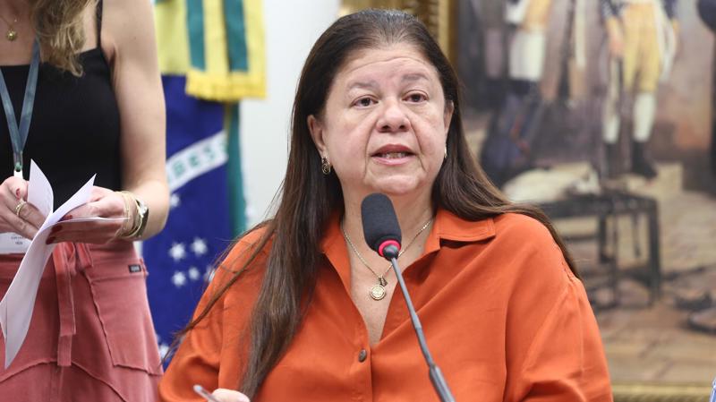 Laura Carneiro: texto aprovado aprimora o regramento previsto na Lei Maria da Penha.