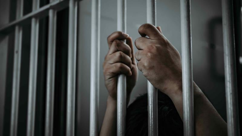 Autor diz que objetivo é impedir soltura  Autor diz que objetivo é impedir soltura