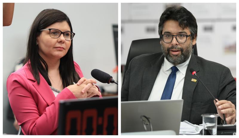 Daiane e Edvaldo devem ser indicados pela Câmara, pela segunda vez, ao CNJ e ao CNMP, respectivamente. Daiane e Edvaldo devem ser indicados pela Câmara, pela segunda vez, ao CNJ e ao CNMP, respectivamente.