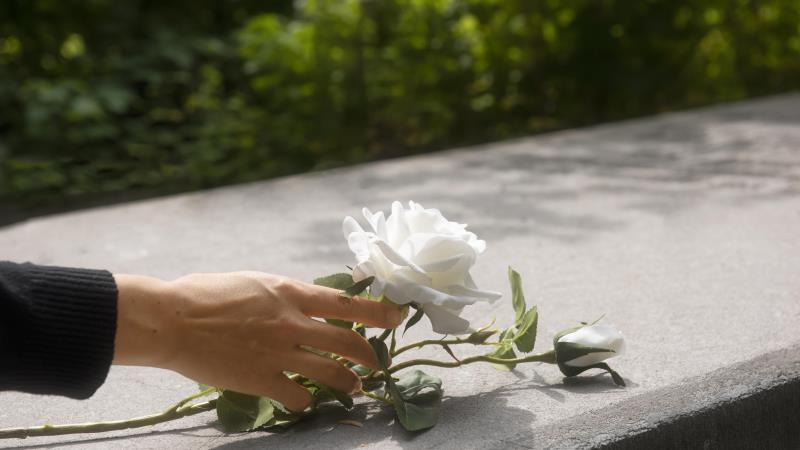 Projeto foi apresentado em 23 de outubro.