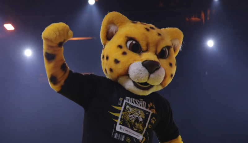 Partido Missão tem uma onça-pintada como mascote oficial.