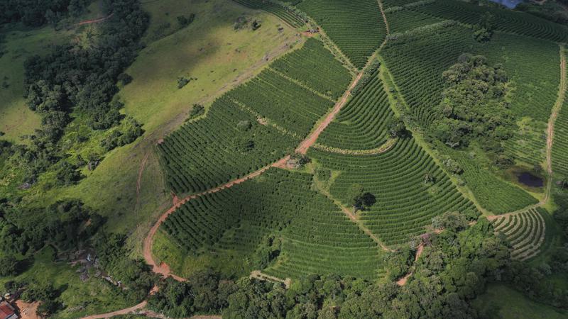 Fazenda cafeeira na Serra da Mantiqueira, em Socorro (SP).
