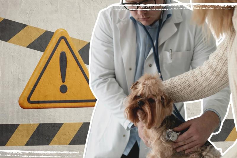 O adicional de insalubridade ou de periculosidade deve ser comprovado por laudo técnico de condições ambientais do trabalho.