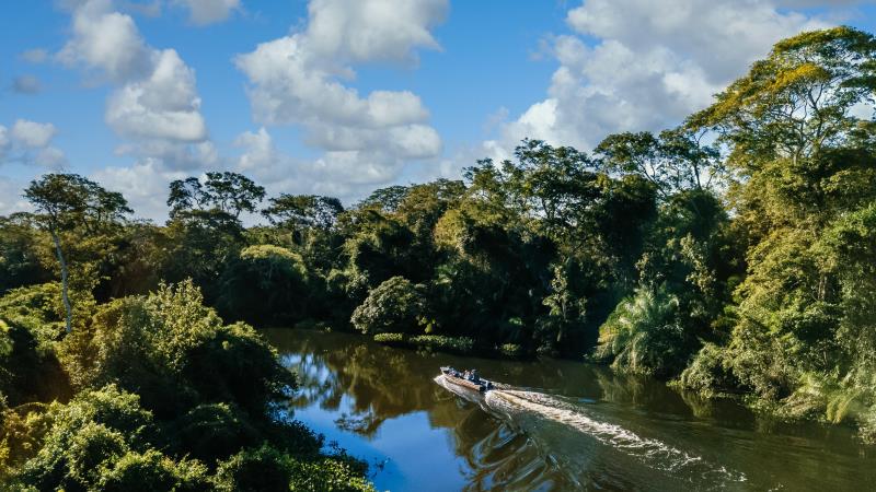 Mesmo com matriz limpa e avanços na Amazônia, o país desperdiça a chance de liderar o debate climático e repete discursos de quem mais polui.