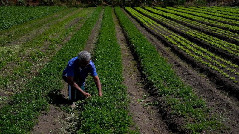 Atualmente, a legislação implica a perda da condição de segurado especial caso a pensão ultrapasse um salário mínimo. 