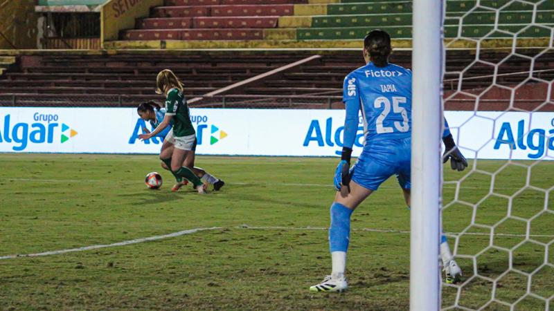 Projeto deixa de estabelecer o Marco Legal do Futebol Feminino. 