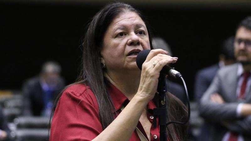 Laura Carneiro foi a relatora da proposta.