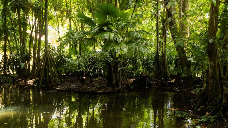 Tarcísio Motta propôs a criação do SUS do Clima.