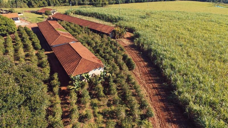 O projeto tramita em caráter conclusivo.