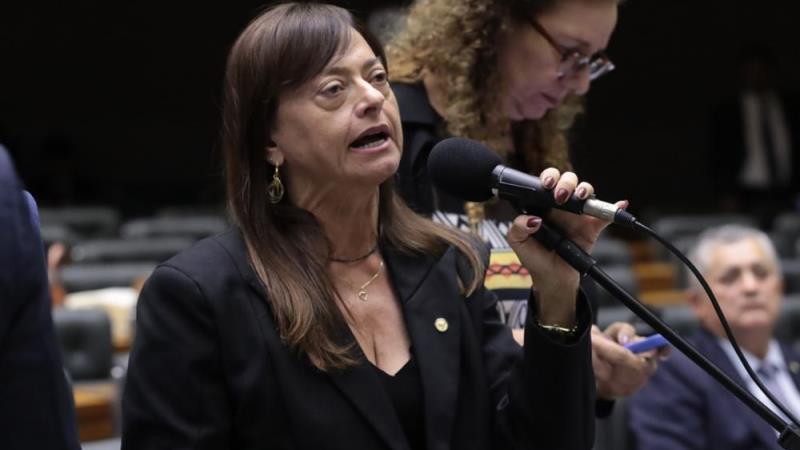 Alice Portugal (PCdoB-BA), autora do requerimento de realização do debate.