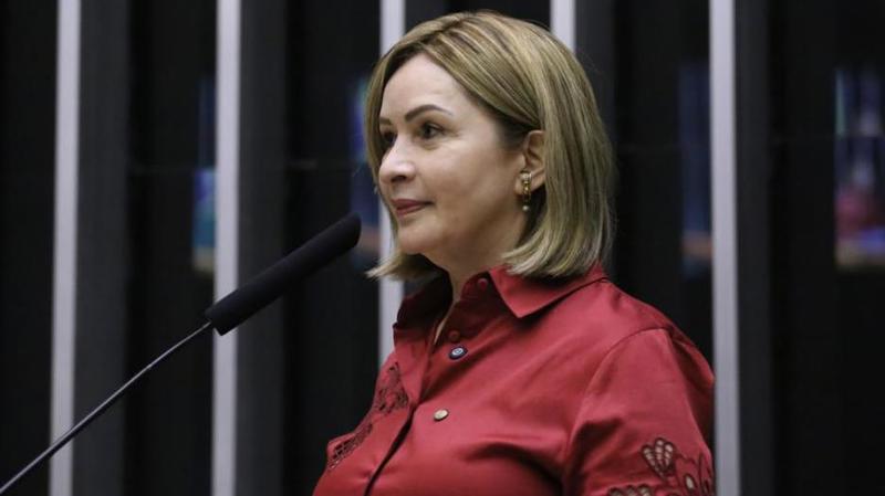 Projeto foi apresentado na segunda-feira (24).