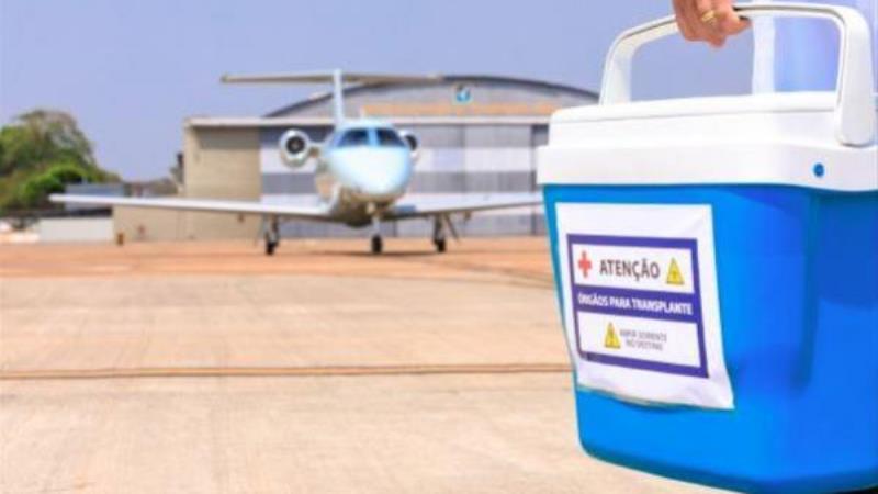 Somente no primeiro semestre de 2024, foram realizados 14.352 transplantes no Brasil, aponta o Ministério da Saúde.