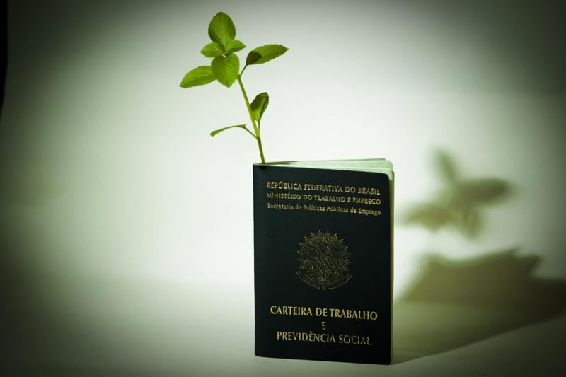 Proposta prevê apoio a projetos de energia limpa, reciclagem, reflorestamento e capacitação profissional.