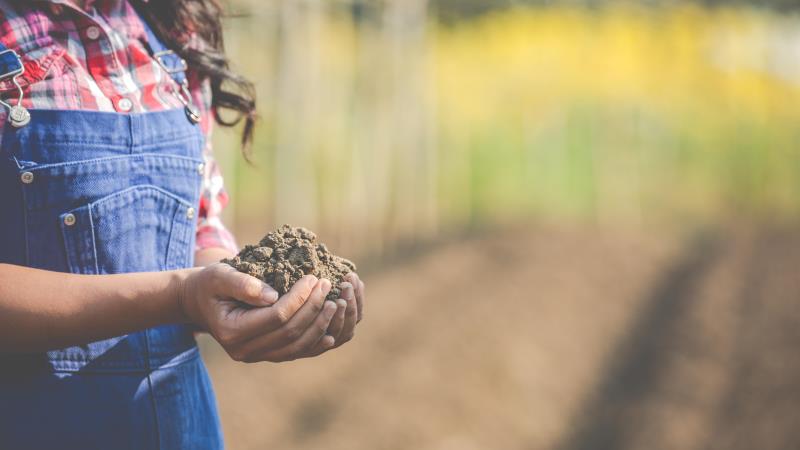 Projeto tramitou em caráter terminativo.