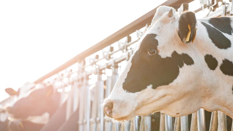 Audiência pública está marcada para 14h.