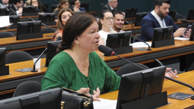 Para a relatora, o texto fomenta responsabilidade social.