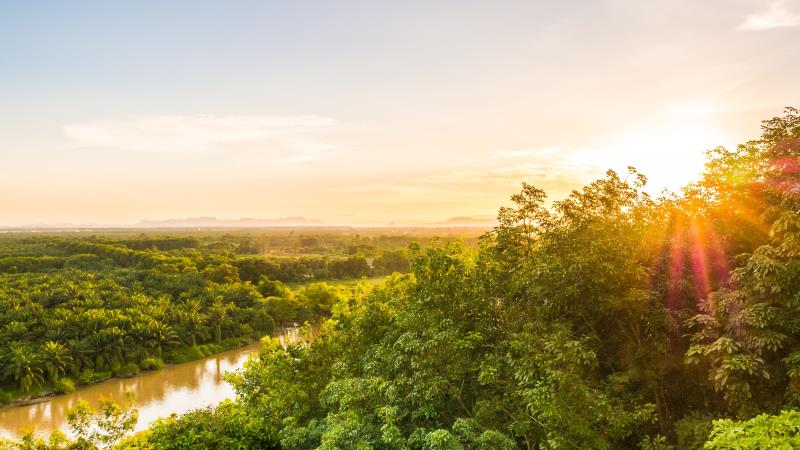Derrubada de vetos ameaça arcabouço ambiental construído em 40 anos