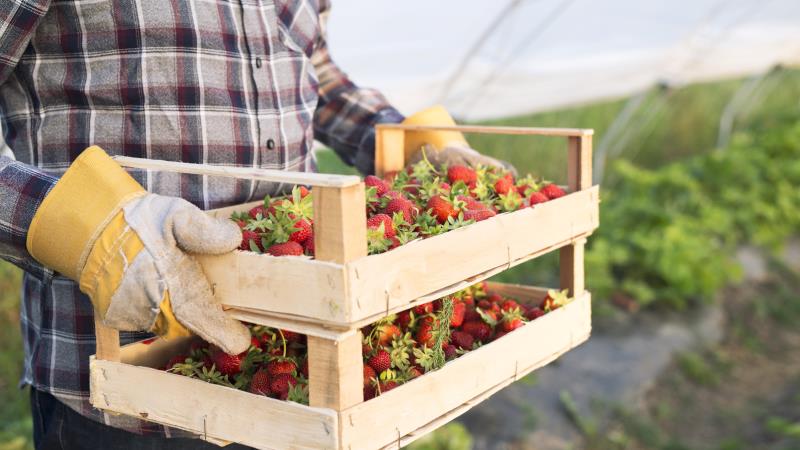 Texto já havia sido aprovado na Comissão de Assuntos Sociais.
