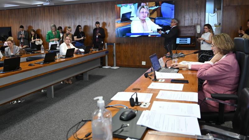 Para análise da CDH, a proposta precisa ser apoiada por ao menos 20 mil pessoas.