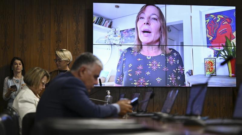 A senadora Mara Gabrilli (telão) presidiu a subcomissão temporária.