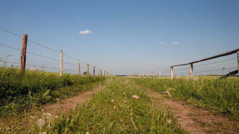 Imóveis rurais na faixa de fronteira poderão ser ratificados por mais 15 anos.