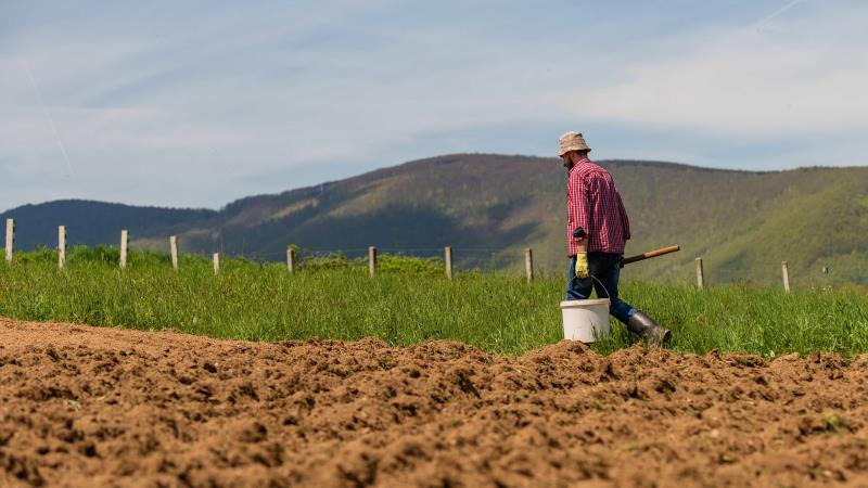 Tramitando em caráter conclusivo, o texto será encaminhado às comissões de Finanças e Tributação, e de Constituição e Justiça.