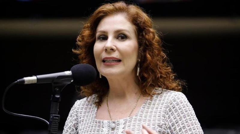 Ministros ressaltaram que Zambelli não possui condições para exercer o cargo de dentro da prisão.