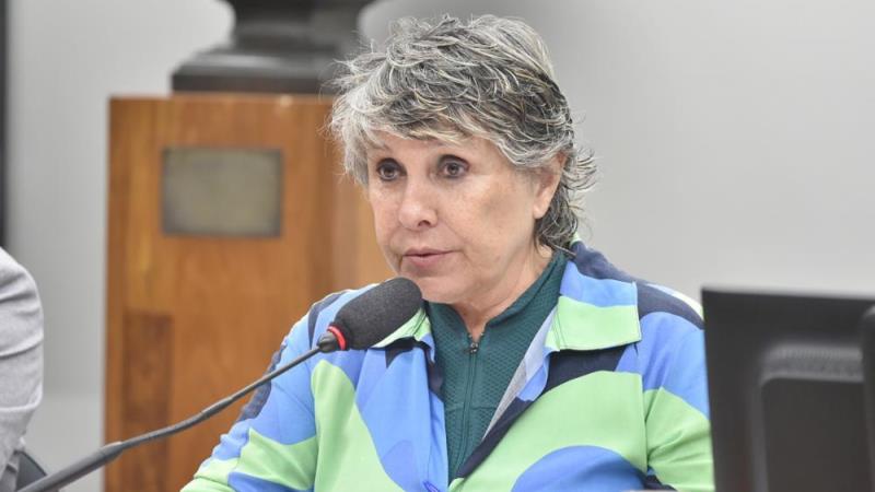 Projeto foi apresentado em julho desde ano.