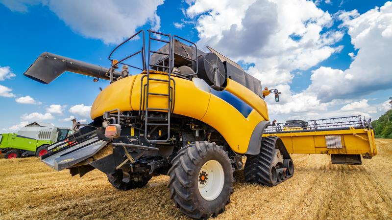 Texto foi apresentado em novembro de 2024.