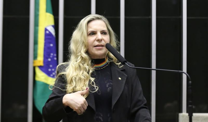 Texto de autoria de Luizianne Lins e Aliel Machado segue para análise da CCJ.