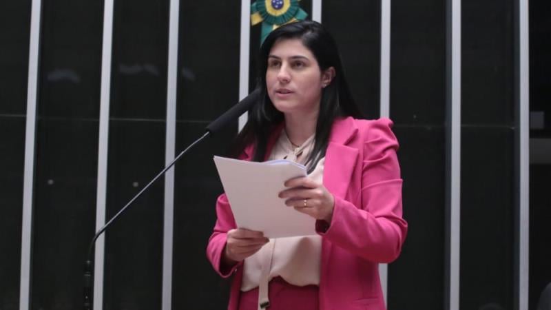 O debate foi proposto pela deputada Chirs Tonietto.