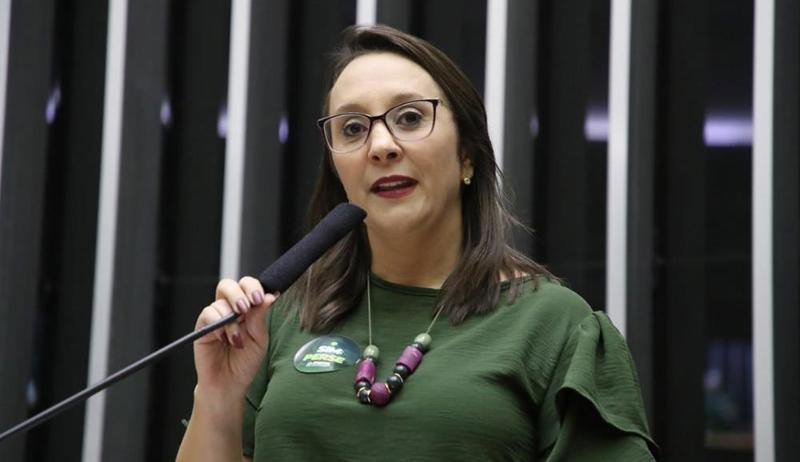 O projeto foi proposto pela deputada Renata Abreu.