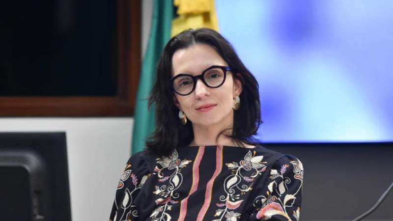 Deputada Ana Pimentel (PT-MG), relatora do projeto.
