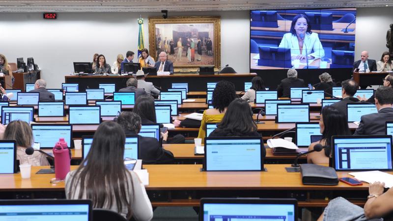 Projeto ainda passará por análise no Plenário da Câmara.