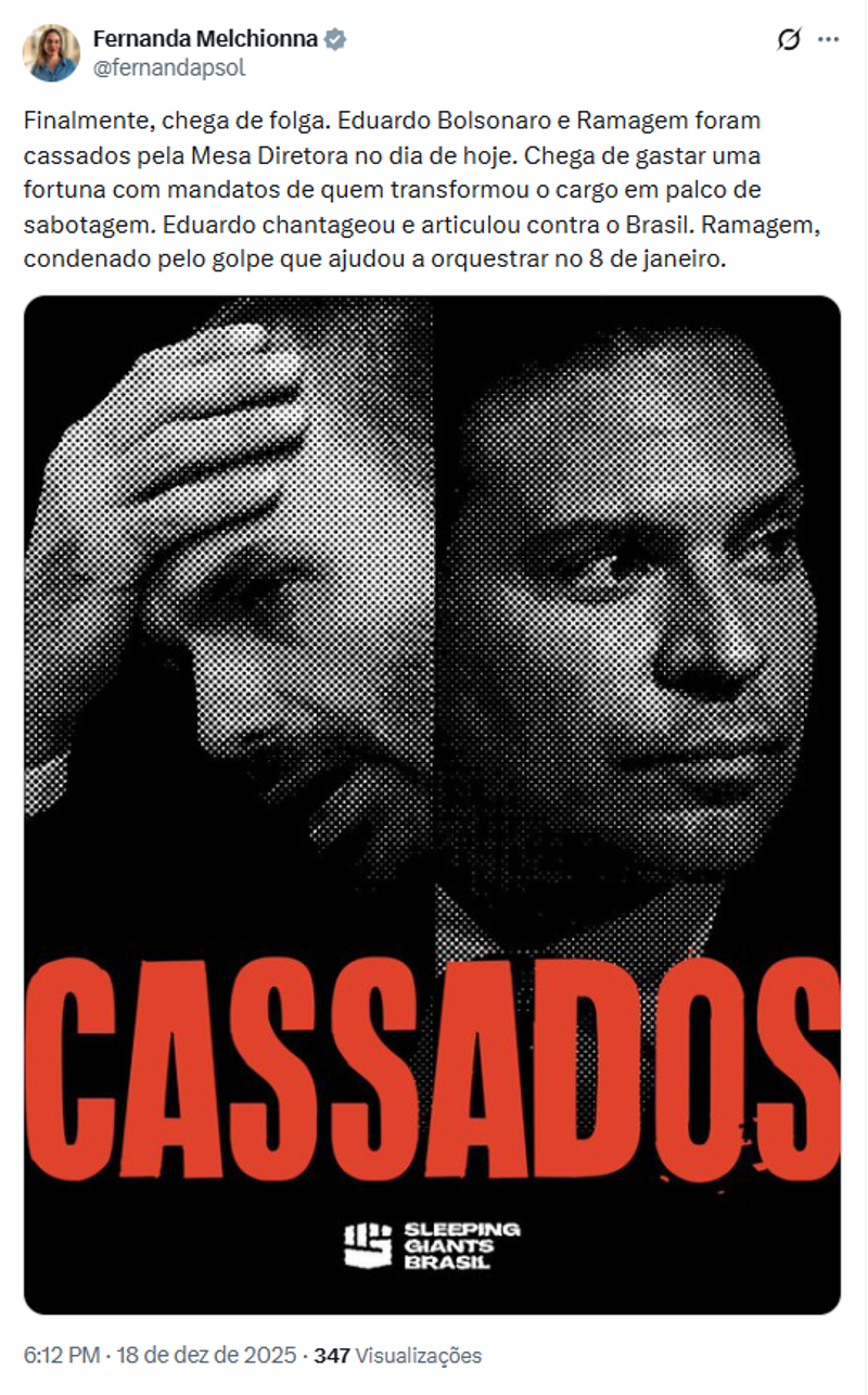 Declaração da deputada Fernanda Melchionna.