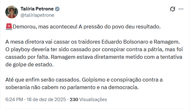 Declaração da deputada Talíria Petrone.