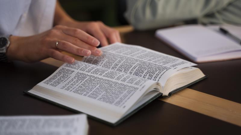 Texto foi apresentado em 12 de dezembro.