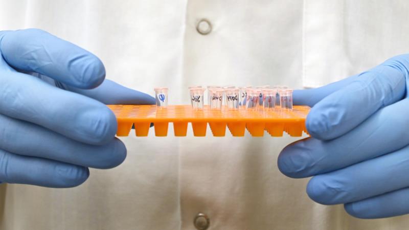 Lei foi publicada no Diário Oficial da União (DOU).