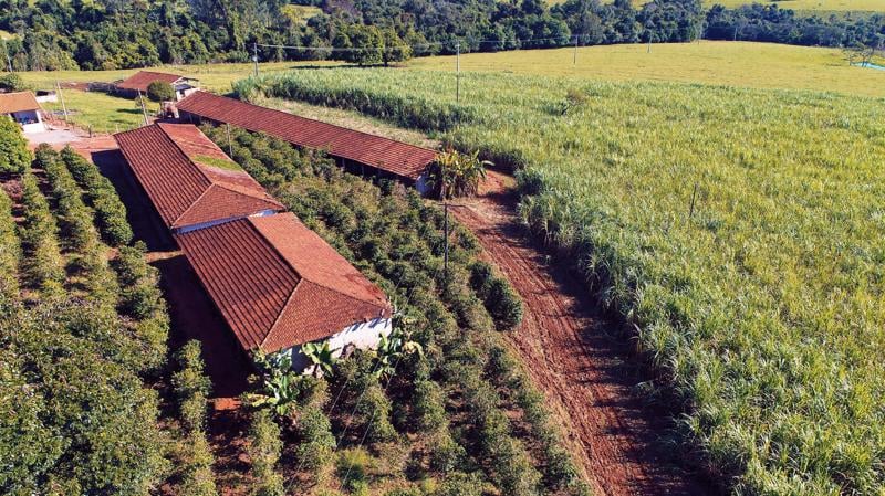 Texto prevê reclusão de até dez anos, punição a financiadores e agravantes para áreas produtivas.