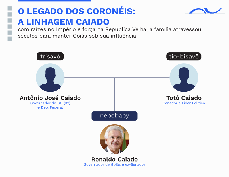 A árvore mais antiga da política goiana, sobrevivendo de impérios a repúblicas.