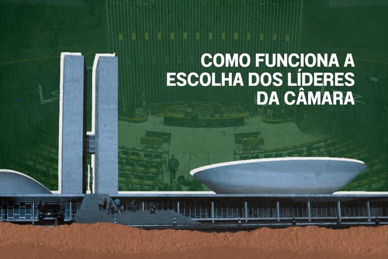 O líder atua como porta-voz do grupo nas votações, debates e negociações internas.