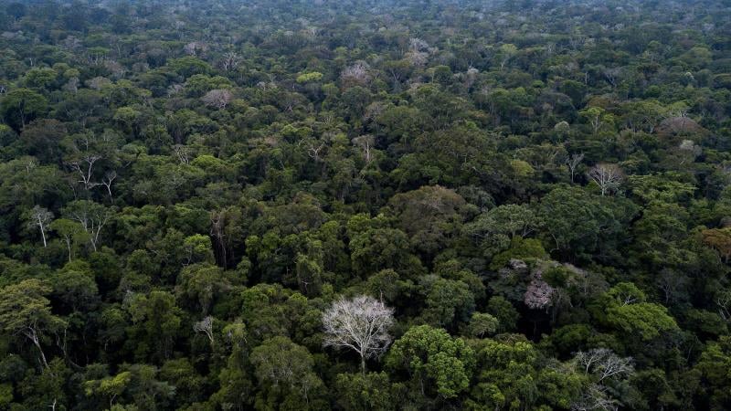 O relator, ministro Alexandre, cobrou explicações do Congresso e da Presidência da República, com prazo de 10 dias para resposta.